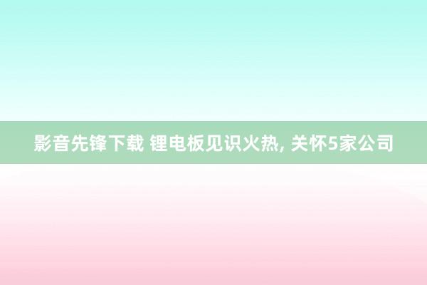 影音先锋下载 锂电板见识火热， 关怀5家公司