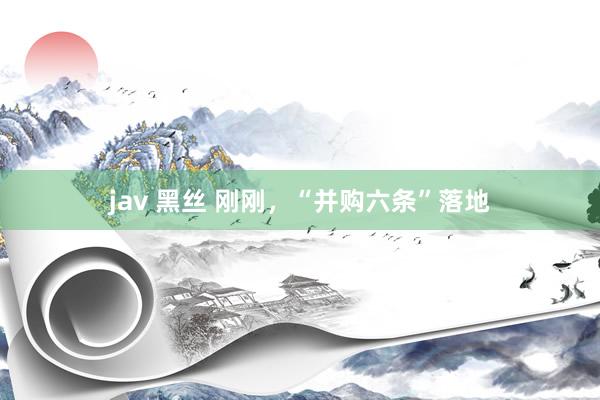 jav 黑丝 刚刚，“并购六条”落地