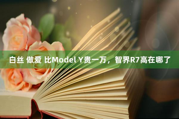 白丝 做爱 比Model Y贵一万，智界R7高在哪了