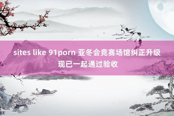 sites like 91porn 亚冬会竞赛场馆纠正升级 现已一起通过验收