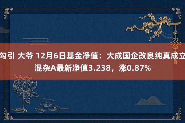 勾引 大爷 12月6日基金净值：大成国企改良纯真成立混杂A最新净值3.238，涨0.87%