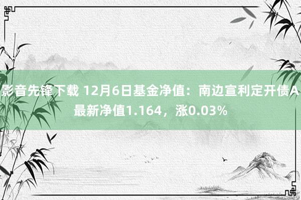 影音先锋下载 12月6日基金净值：南边宣利定开债A最新净值1.164，涨0.03%