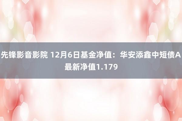 先锋影音影院 12月6日基金净值：华安添鑫中短债A最新净值1.179