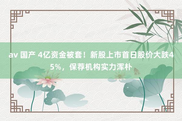 av 国产 4亿资金被套！新股上市首日股价大跌45%，保荐机构实力浑朴