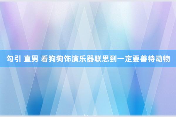 勾引 直男 看狗狗饰演乐器联思到一定要善待动物