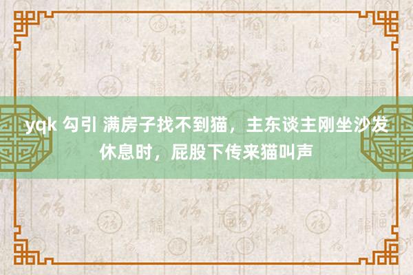 yqk 勾引 满房子找不到猫，主东谈主刚坐沙发休息时，屁股下传来猫叫声