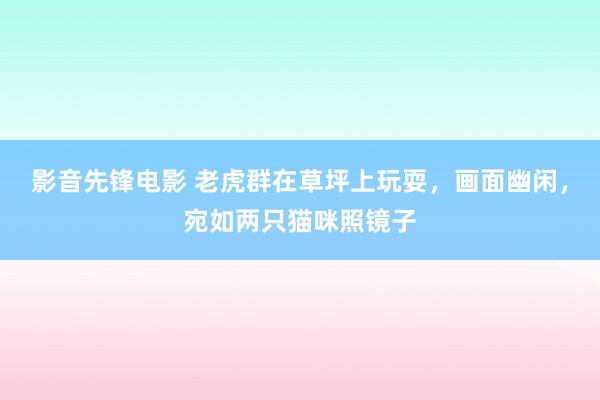 影音先锋电影 老虎群在草坪上玩耍，画面幽闲，宛如两只猫咪照镜子