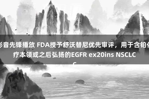 影音先锋播放 FDA授予舒沃替尼优先审评，用于含铂化疗本领或之后弘扬的EGFR ex20ins NSCLC