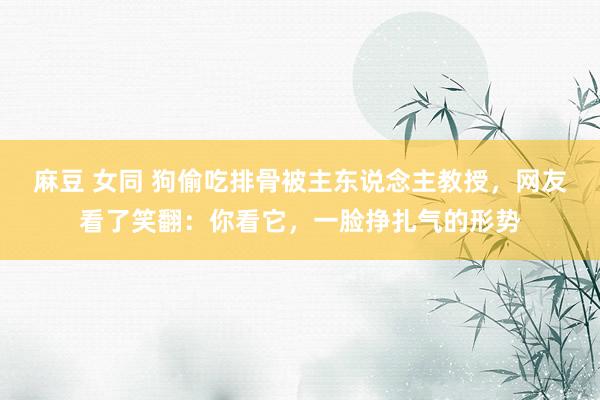 麻豆 女同 狗偷吃排骨被主东说念主教授，网友看了笑翻：你看它，一脸挣扎气的形势