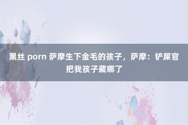 黑丝 porn 萨摩生下金毛的孩子，萨摩：铲屎官把我孩子藏哪了