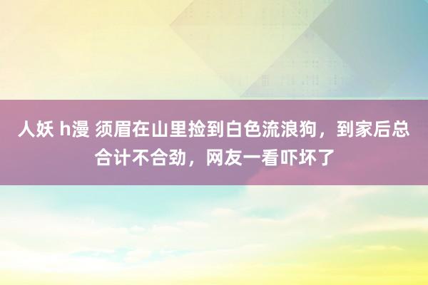 人妖 h漫 须眉在山里捡到白色流浪狗，到家后总合计不合劲，网友一看吓坏了